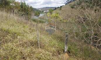 Imagem 2: Fazenda com 12.39 Hec - Laranjal - MG - próximo a BR 116 -Todo formado em braquiária Ideal