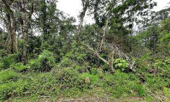 Imagem: Terreno para investir próximo ao Riviera