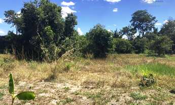 Imagem 4: CHACARA PARA PESQUEIRO NA BEIRA DO RIO BRAÇO NORTE
