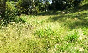 Imagem 6: CHACARA PARA PESQUEIRO NA BEIRA DO RIO BRAÇO NORTE