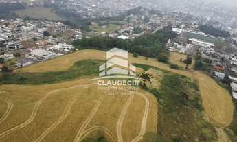 Imagem 6: Loteamento, La Salle, PATO BRANCO - PR