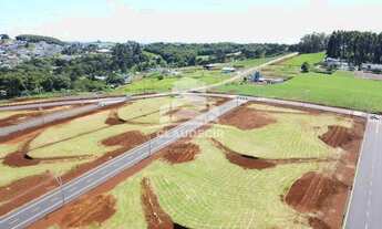 Imagem 6: Loteamento Monte Belo