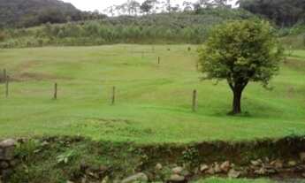 Imagem 5: Chácara à venda, GARIBALDI, JARAGUA DO SUL - SC