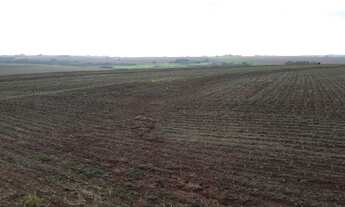 Imagem: FAZENDA BAIRRO Outro