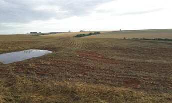 Imagem 7: FAZENDA BAIRRO Outro