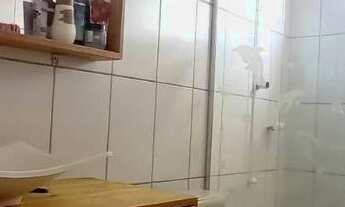 Imagem 5: CASA A VENDA NO BAIRRO MINA DO MATO EM CRICIUMA AOS FUNDOS DA PIZZARIA MONTE BELLO - 03 QU