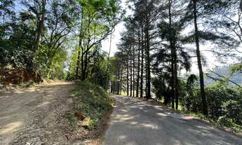 Imagem: TERRENO ESCRTIRUADO A VENDA EM NOVA VENEZA