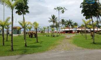 Imagem: Na Avenida Manoel Da Nóbrega