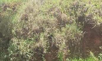 Imagem 7: Terreno Loteamento no Iguaçu - Ipatinga