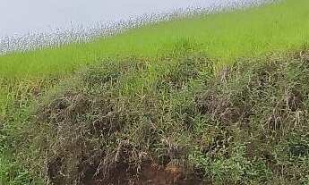 Imagem: Terreno Loteamento no Iguaçu - Ipatinga