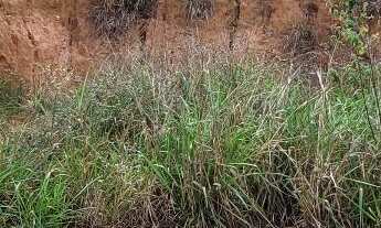 Imagem: Lote a venda no Bairro Recanto