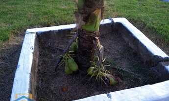 Imagem 5: Chácara de 5.000m² em Bom Jesus do Galho