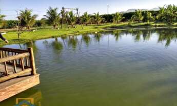 Imagem: Chácara de 5.000m² em Bom Jesus do Galho