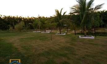 Imagem 7: Chácara de 5.000m² em Bom Jesus do Galho