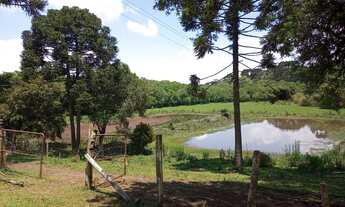 Imagem: CHácara linda em Rio da Várzea, Mandirituba