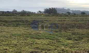 Imagem 5: Excelente área com 120.000 metros ou 12ha em Torres