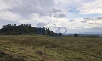 Imagem 4: Excelente área com 120.000 metros ou 12ha em Torres