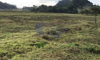 Imagem 7: Excelente área com 120.000 metros ou 12ha em Torres