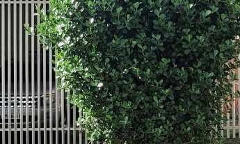 Imagem: Casa de 3 quartos e 2 vagas de garagem no