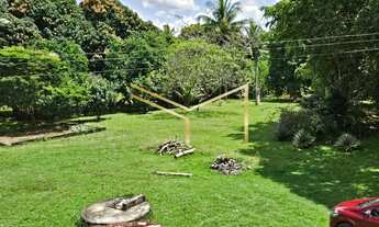 Imagem 7: Sítio ideal para quem quer investir ou desfrutar de um lugar em contato com a natureza!