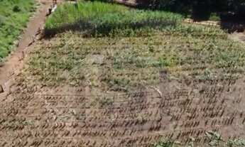 Imagem: CH0274 - CAMPOS ELISEOS