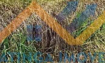 Imagem: Terreno à Venda no Cidade Nova - Iapu