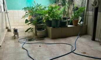 Imagem 4: CASA DE TRES QUARTOS VILA CELESTE