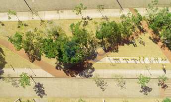 Imagem 4: Terreno á venda no Bosque das Figueiras em Passo de Torres/SC