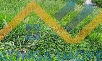 Imagem 6: Terreno Loteamento, 710M² de Área Total