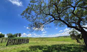 Imagem: Sítio de 6,6 hectares com água, solo fértil