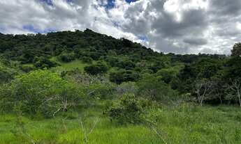 Imagem 2: Terreno de aproximadamente 47 hectares no Periquito MG
