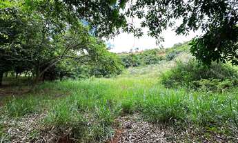 Imagem 4: Terreno de aproximadamente 47 hectares no Periquito MG