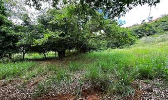 Imagem 5: Terreno de aproximadamente 47 hectares no Periquito MG