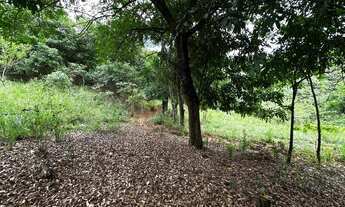 Imagem 6: Terreno de aproximadamente 47 hectares no Periquito MG