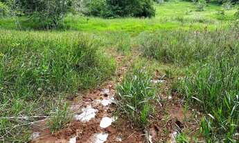 Imagem 7: Terreno de aproximadamente 47 hectares no Periquito MG