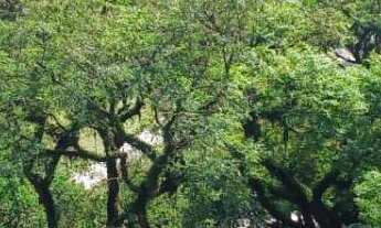 Imagem 7: Apartamento com 1 dormitórios na Bela Vista com vaga