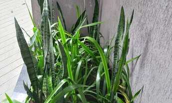 Imagem 7: Sobrado Espaçoso e Bem Localizado ? Próximo ao Metrô Carrão!