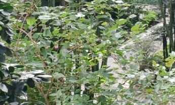 Imagem 7: Apartamento com 3 dormitórios e vaga de garagem na Bela Vista