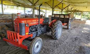 Imagem 2: Sítio produtivo com excelente casa sede, em Conchas-SP
