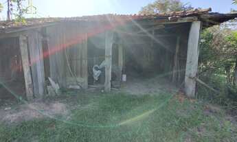 Imagem 6: Sítio produtivo com excelente casa sede, em Conchas-SP