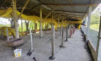 Imagem 4: Sítio produtivo com excelente casa sede, em Conchas-SP