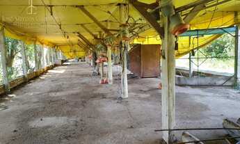 Imagem 5: Sítio produtivo com excelente casa sede, em Conchas-SP