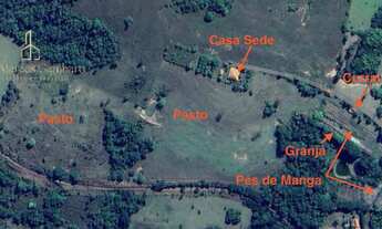 Imagem: Sítio produtivo com excelente casa sede