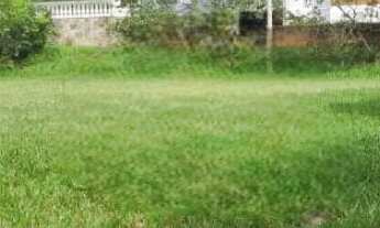 Imagem 4: Chácara de 3 Alqueires a venda Km 199 da BR 153 a 1 km de Getulina