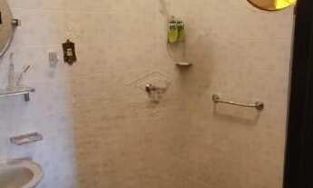 Imagem 7: Chácara de 3 Alqueires a venda Km 199 da BR 153 a 1 km de Getulina