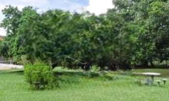 Imagem 3: Chácara de 3 Alqueires a venda Km 199 da BR 153 a 1 km de Getulina