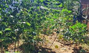 Imagem 5: Terreno a venda no Residencial Morumbi em Lins