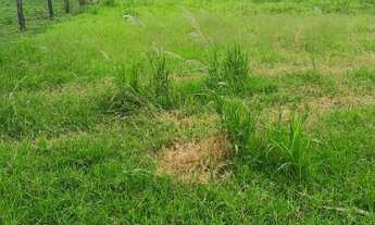 Imagem 2: Dois terrenos a venda em Guapiranga