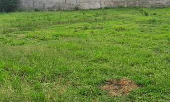 Imagem 4: Dois terrenos a venda em Guapiranga