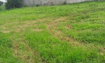 Imagem 5: Dois terrenos a venda em Guapiranga